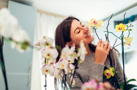 Technologie Flash Streamer de Daikin : pour un air purifié